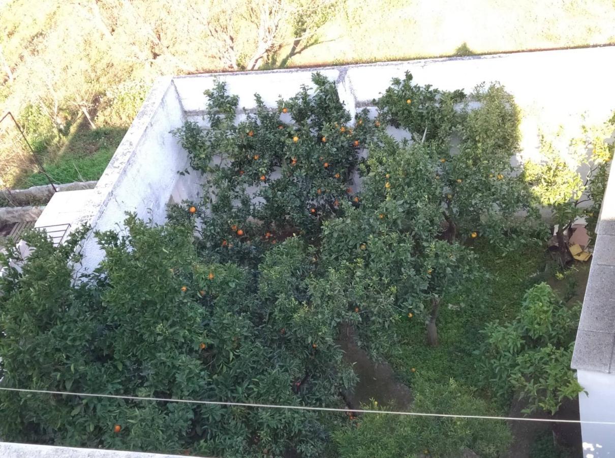 Villa Lilla Ostuni Kültér fotó