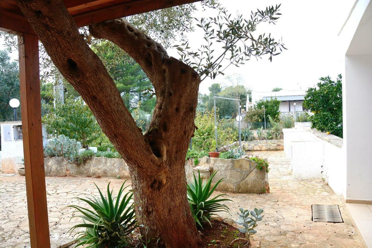 Villa Lilla Ostuni Kültér fotó