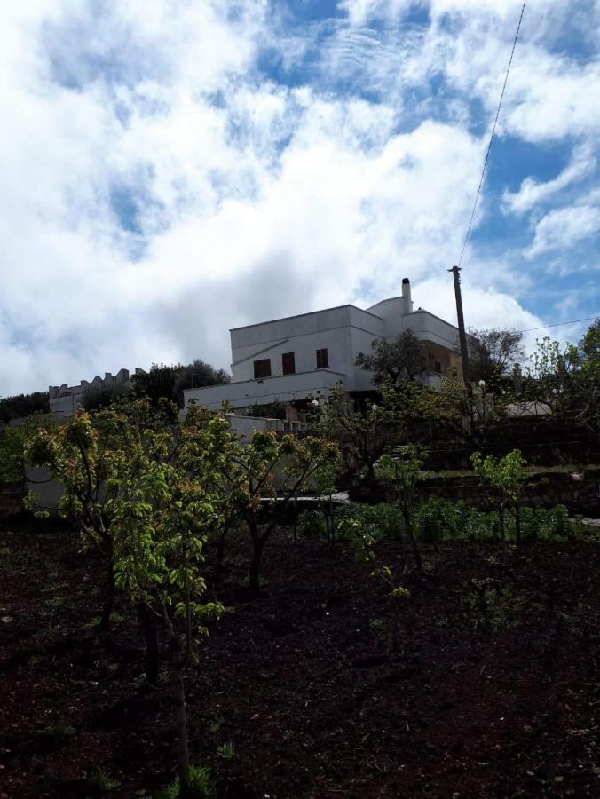 Villa Lilla Ostuni Kültér fotó